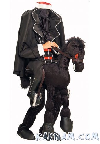 Фото костюма Лошади на Новый Год 2014