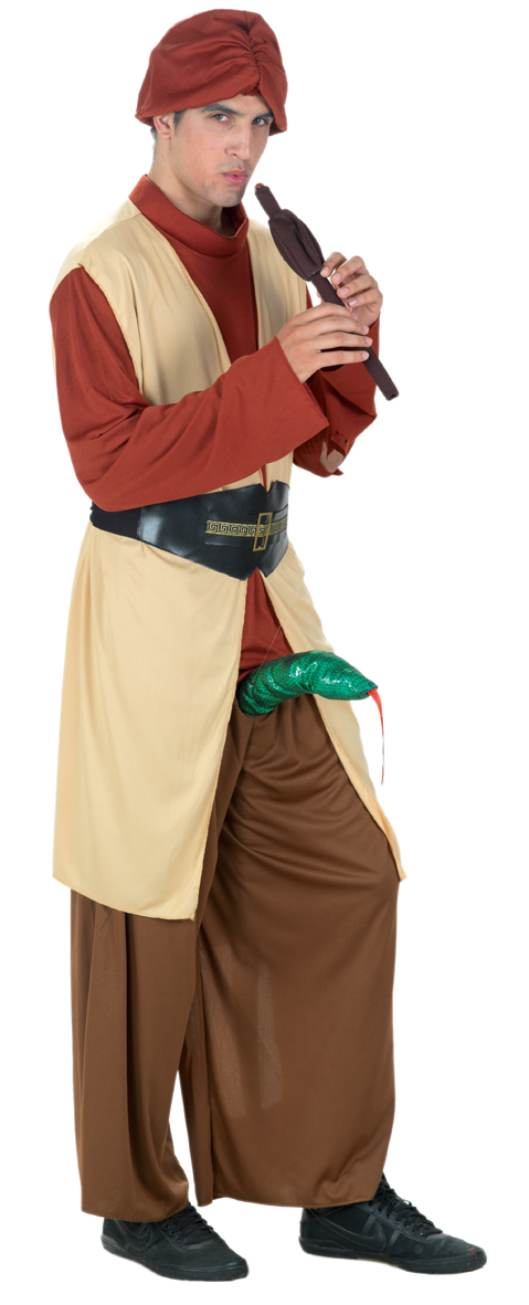 Мужской костюм на год змеи 2013