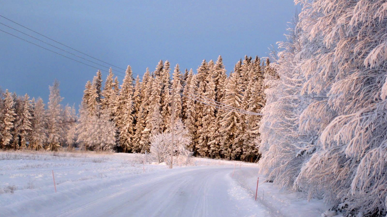 Зима в Финляндии - фото зимнего леса